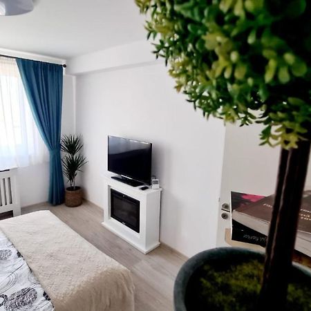Cozy Studio Apartment Брашов Екстериор снимка