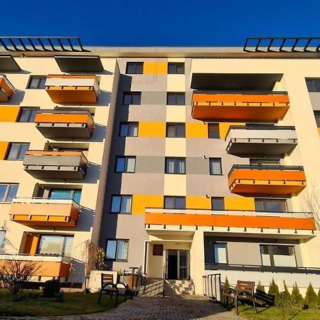 Cozy Studio Apartment Брашов Екстериор снимка