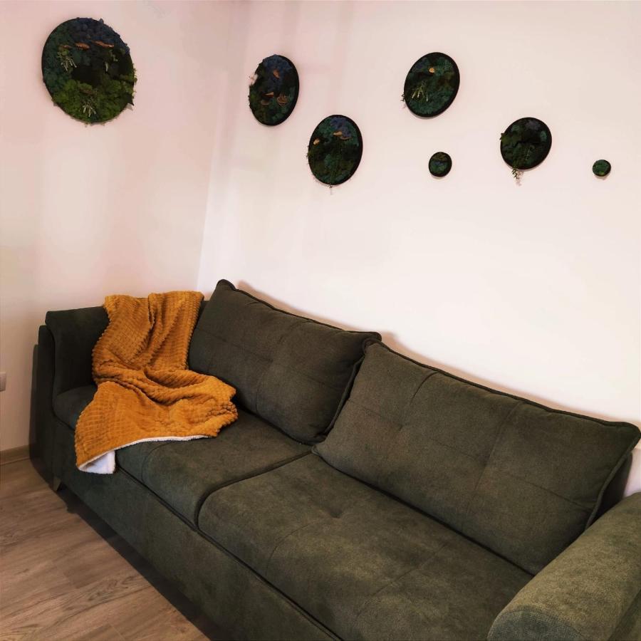Cozy Studio Apartment Брашов Екстериор снимка