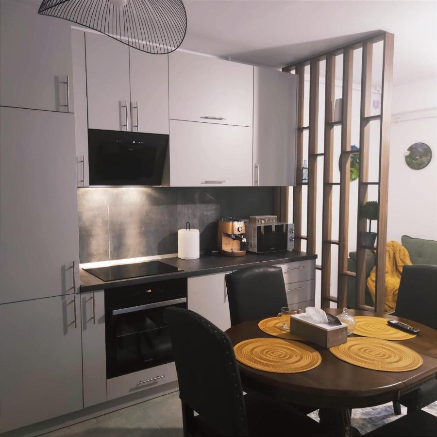 Cozy Studio Apartment Брашов Екстериор снимка