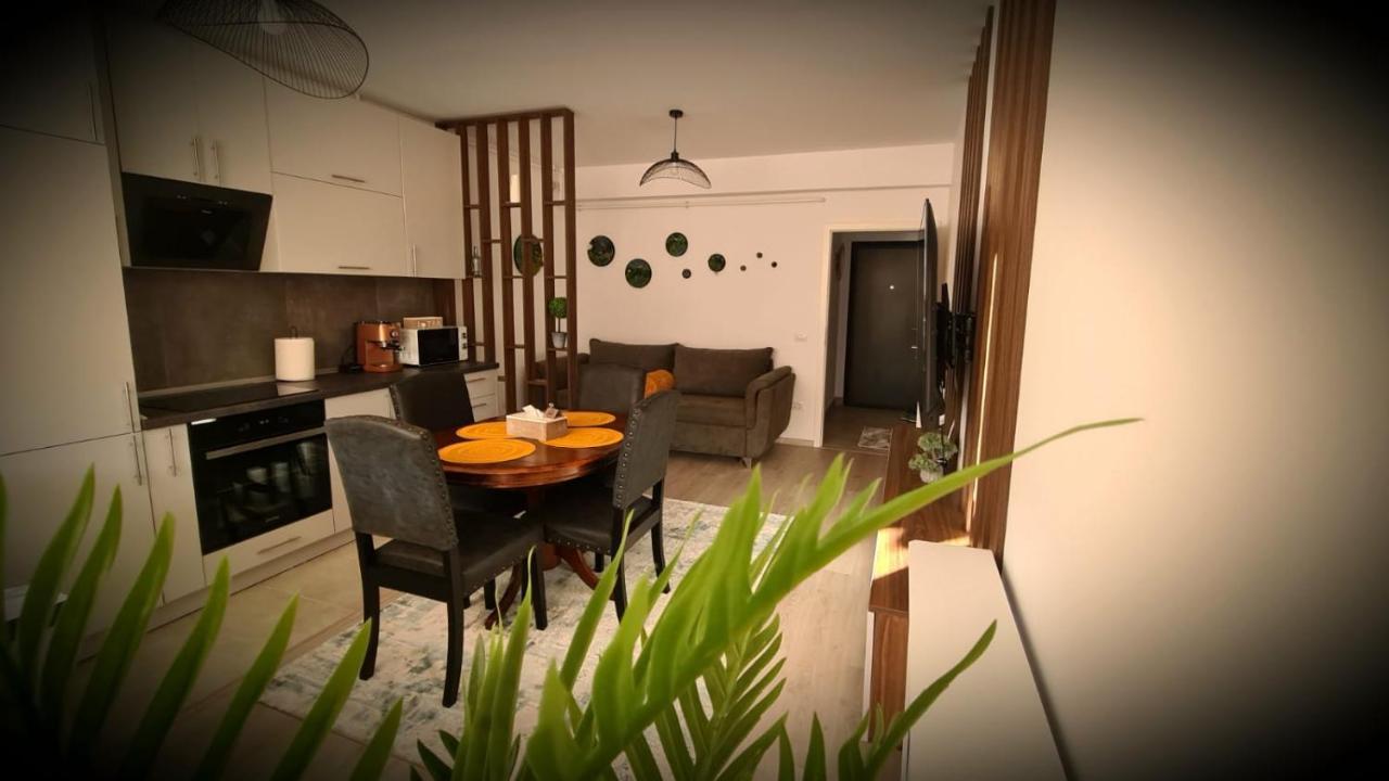 Cozy Studio Apartment Брашов Екстериор снимка