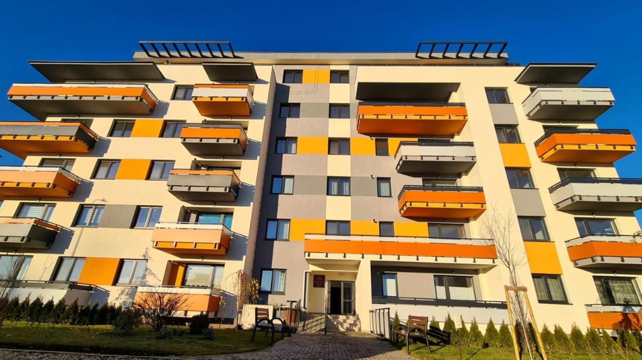 Cozy Studio Apartment Брашов Екстериор снимка